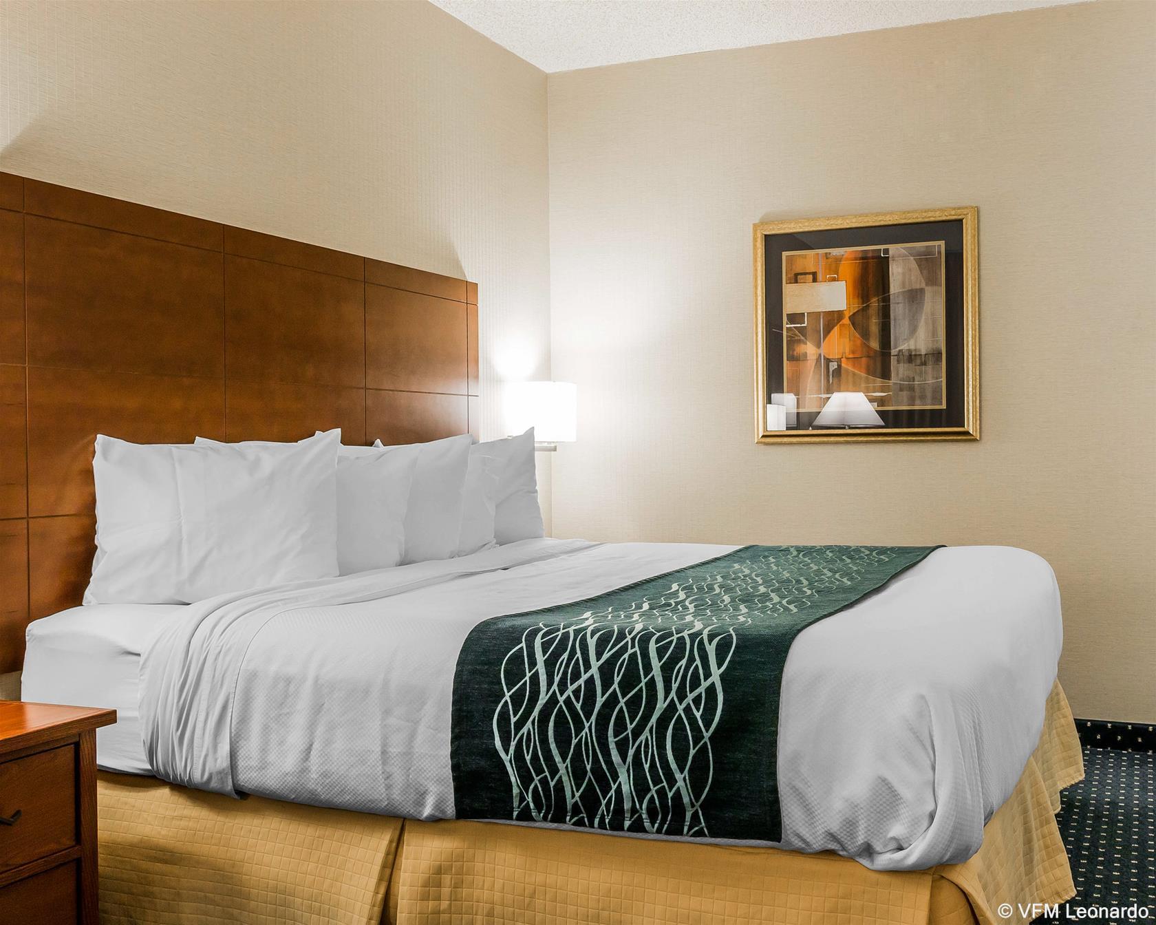 Quality Inn Auburn Hills - Detroit North Exterior foto